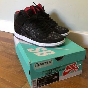 Nike Dunk High Pro SB Paparazzis 9